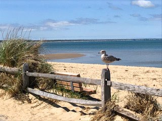 The History of First Encounter Beach
